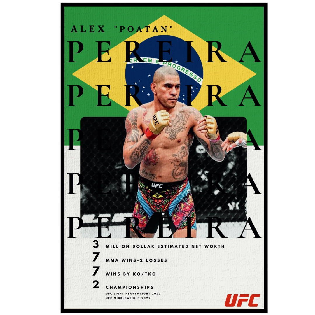 ALEX PERERİA 3D HALI