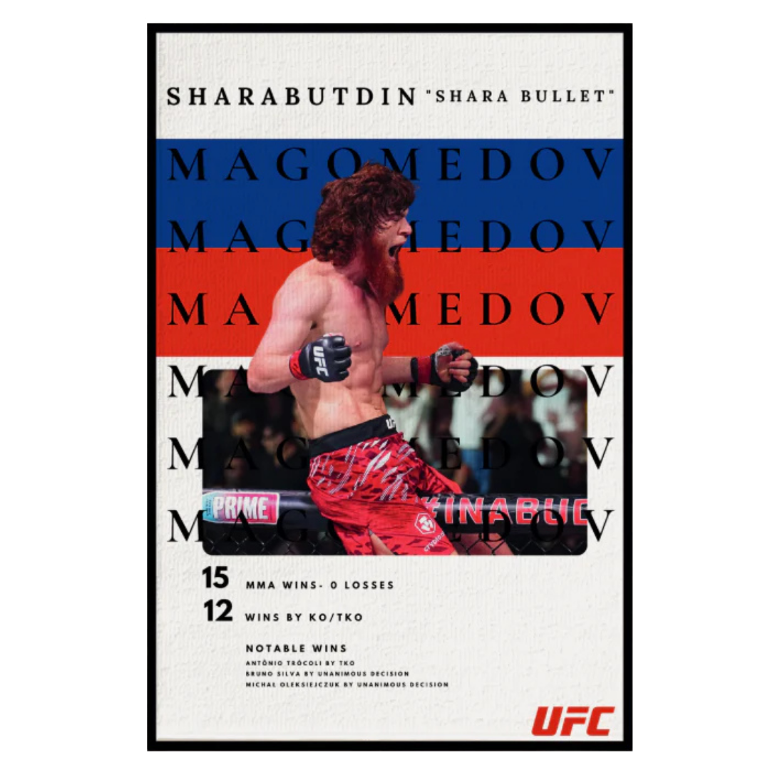 SHARA BULLET 3D HALI