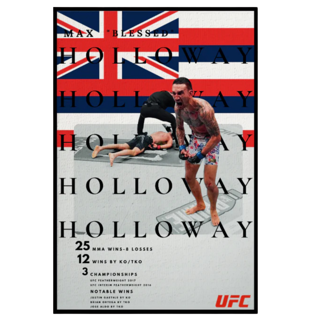 HOLLOWAY 3D HALI