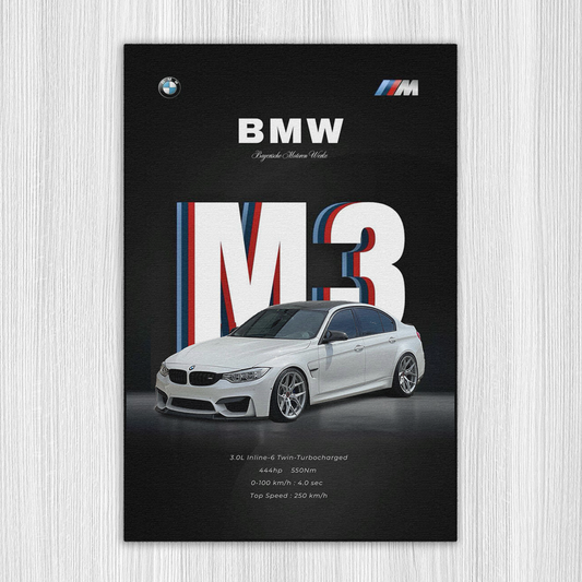 BMW F80 M3 HALI